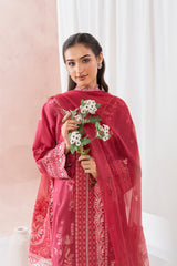 Gul e Shabnam - AM-022